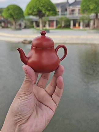 朱泥思婷#茶器之美 #茶生活
