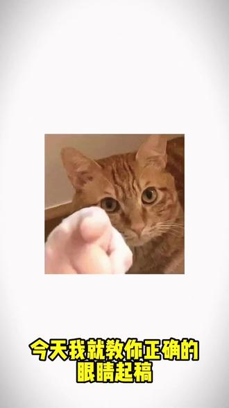 新手别这么画眼睛了 求求啦!
眼睛应该这样画 #板绘教程 #眼睛怎么画 #小白学画画 #板绘练习 #画世界