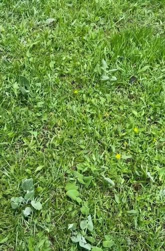 如果治愈有颜色那一定少不了大自然绿#看cba喝雪花