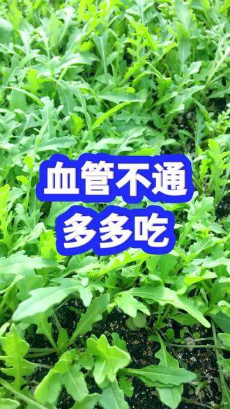血管不通,2种菜叶多多吃,冲走淤堵,血管干净如新