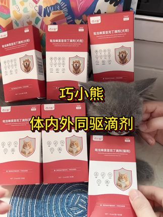巧小熊体内外同驱滴剂 能有效驱除猫狗体内外20多种常见寄生虫 家里养宠的趁着现在囤货季,可以多囤一些#新手养宠 #猫狗驱虫 #驱虫 #巧小熊体内外同驱 #养猫新手