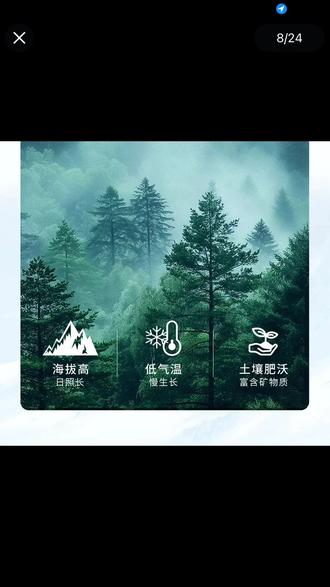 姐妹们快来薅一个!足足十二瓶的天然低钠矿泉水,它是来自长白山的天然矿泉水,里面富含多种矿物质,而且还是低钠的,一桶足足有一升!家里有老人小孩孕妇的都可以放心喝,拿来泡奶也是特别合适,口感清甜甘冽,趁现在价格划算,赶紧囤上几箱吧!