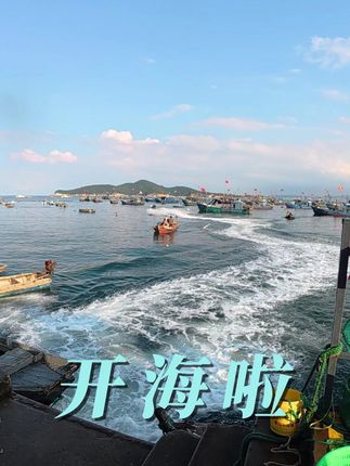 视频里的海鲜你能叫出几个?#开海啦 #海鲜 #上热门