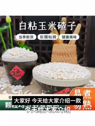 东北小碴子农家自产新鲜现磨玉米糁苞米碴子非转基因小粒碴子煮粥