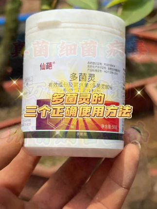 三农种植服务三农支持三农