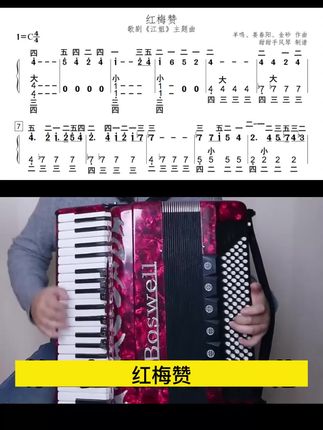 想学《红梅赞》直接点击下方链接报名吧#红梅赞#手风琴#简谱#键盘#0基础
