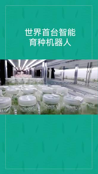 世界首台智能育种机器人#机器人#育种机器人 #智能育种 #育种