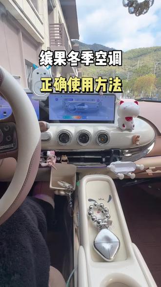 缤果冬季开空调 省电暖和的方法 #五菱缤果 #每天一个用车知识 #带你懂车 #用车知识 #用车技巧 @DOU+小助手