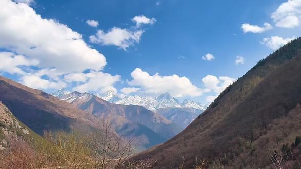 见过真牛马。 还回去当牛马了