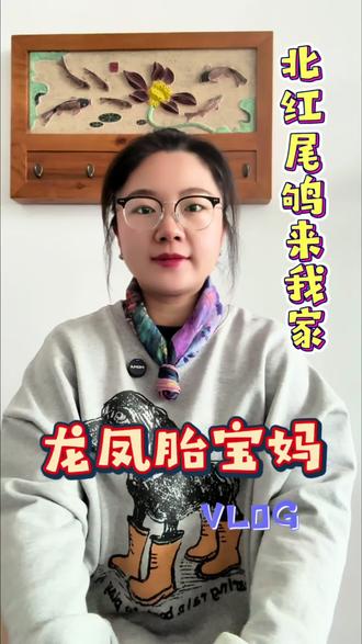 一只小鸟,为了生存,要飞越几千公里,我们还有什么理由不坚持?所有奔赴,都值得被看见。所有坚持,终将找到出口!加油!#记录真实生活计划 #龙凤胎宝妈 #勇闯自媒体 #裸辞回乡创业 @抖音创作者中心 @小雅的“画匣子”