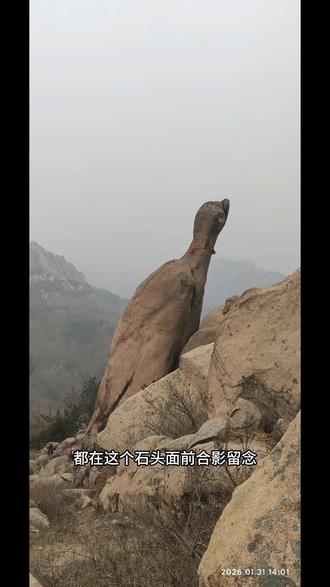 这只“石头鸟”是只什么鸟?青岛大珠山的“象形石”被山友们一网打尽了,大家都来看看这大自然的杰作吧。#一飞看山 #原创视频 #爬山 #旅行推荐官 #我的生活日记