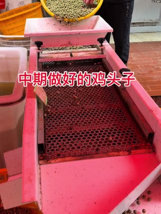 新鲜看得见