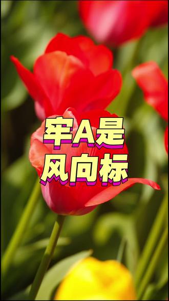 牢A是风向标 #牢A #风向标 #三通一达 #斩杀线 #高达