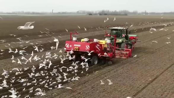 中美两国农业发展模式的差异 中国农业与美国两者代表了两种截然不同的农业发展模式,背后是资源禀赋、历史路径、经济水平和政策导向的巨大差异。
中国数千年的农耕文明,人口稠密,人均耕地资源极其有限,其农业模式必然是追求在有限土地上产出最多的食物。正是这种典型的“人多地少” 的资源禀赋,决定了中国以精耕细作的小农经济为主,首要目标是保障粮食安全和农民生计。
美国建国历史短,地广人稀,通过“西进运动”获得了大量肥沃土地,这为其大规模机械化农业提供了自然基础。因此,这种典型的“人少地多” 的资源禀赋,决定了其以大规模、高度机械化的农场经济为主,首要目标是追求利润和全球市场竞争力。
当前,中国仍处于城镇化进程中,农业承担着为大量农村人口提供生计和社会保障的“稳定器”功能。
美国早已完成城镇化和工业化,农业是完全商业化的产业部门。
中国的政策的首要目标是 “保供稳价” ,确保14亿人的饭碗牢牢端在自己手中,因此更强调自给率。
美国政策的首要目标则是维持农场主收入和国际竞争优势,通过全球市场来获取最大利润。
中国正在通过 “发展适度规模经营” 、培育新型农业经营主体、推广农业科技、建设高标准农田等方式,试图在保留小农户基本盘的同时,提高农业的现代化水平和竞争力。
美国也开始关注可持续农业,探索减少对化学品的依赖、保护生态环境的路径,如覆盖作物、保护性耕作等,以应对社会对环保和食品健康的诉求。
总而言之,中国农业和美国农业是两种基于不同国情和发展阶段的成功范式。两者没有绝对的优劣之分,而是在各自的道路上解决各自面临的问题,并相互影响和借鉴。#农业