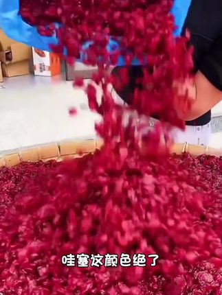 【来吃点好的】蔓越莓干500g250g新鲜果脯烘培原料水果干纯蔓越莓干