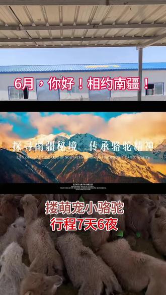 6月,你好!相约南疆!西域王朝溯源游! #新疆 #南疆
