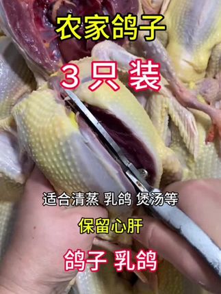 鸽子#鸽子#鸽子汤#好吃又营养#崇明鸽子#口感特别好