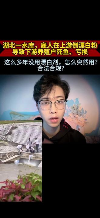 上游倒漂白粉,下游养殖户死鱼亏损 #湖北 #真实事件 #热点新闻事件 #民生关注 #你怎么看