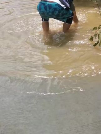 抓鱼了