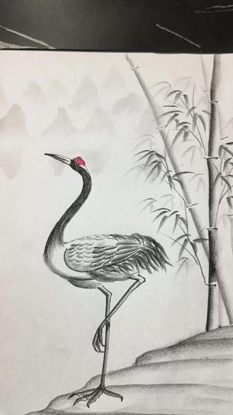 仙鹤简单画法#零基础学画画#一看就会#炭笔画