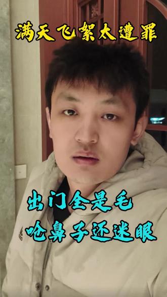 真服了这破柳絮!到处飘得哪儿都是,钻鼻子钻眼睛,出门遭老罪了#柳絮太烦人#春天最烦的就是柳絮春日日常吐槽#路边全是柳絮#小侯手机维修中心#北京平谷