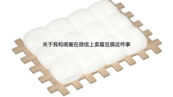 关于我和闺蜜在微信上卖霉豆腐这件事😂@Yu咩^