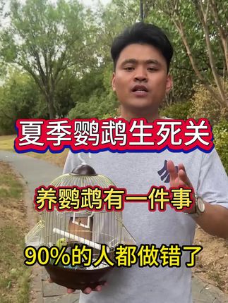 夏季养鹦鹉生死观养鹦鹉有一件事 90% 的人都做错了#鹦鹉 #鹦鹉鹦鹉萌萌哒逗鹦鹉 #鹦鹉小白 #鹦鹉日常 #手养鹦鹉