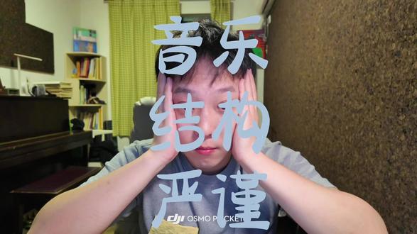 音乐中的结构严谨#音乐美学 #音乐心理学 #音乐学院 #星海音乐学院 #音乐考研