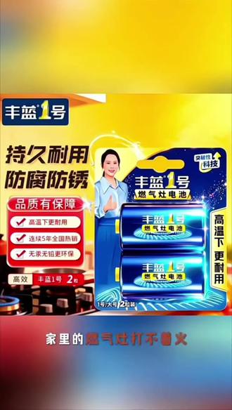 南孚【燃气灶电池】#专用1号天然气煤气灶热水器电池#