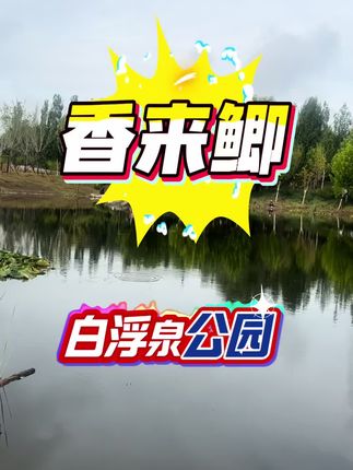 香来鲫挑战白浮泉公园小坑#野钓 #野钓鲫鱼 #香来鲫 #北京野钓 #白浮泉公园