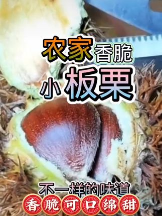 #舌尖上的味道 #优质农产品 #太好吃了 #板栗 前些年的库存翻出来看有没有人看,剥板栗的好方法