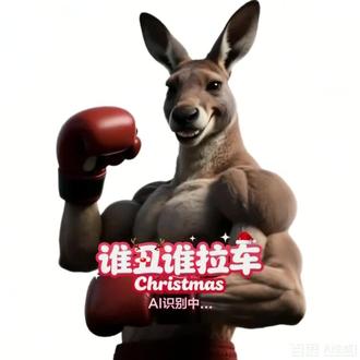 #圣诞谁丑谁拉车 #谁丑谁拉车 #圣诞节 #百度AI视频模板 #百度AI特效 @百度特效