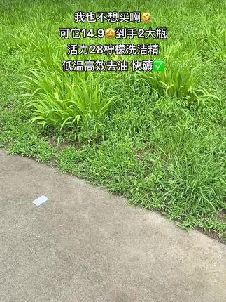 我的老天鹅呀!不是贵的#洗洁精买不起,而且云股东们的#活力28 更更有性价比!竟然只需要14.9就到手2大瓶足足4斤重的柠檬洗洁精!每次一一小滴都能把碗洗的非常干净#橱窗好物 #洗洁精 #质量杠杠的好