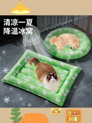#科学养宠攻略 宠物冰窝睡觉用宠物冰垫猫咪夏天降温凉席窝防撕咬猫垫子狗狗凉垫 #科学养宠 #萌宠好物 #新手养狗养宠经验分享 #宠物好物推荐