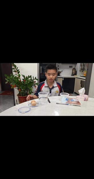 悬浮鸡蛋原理实验#化学实验 #鸡蛋的神仙吃法 #鸡蛋 #物理实验