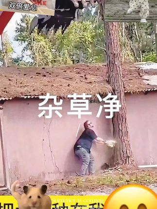 【环秦酮颗粒除草剂】-【杂草藤蔓杂竹专用庭院厂区公路机场直接撒掺混肥】环秦酮颗粒型除草剂,专为杂草、藤蔓、杂竹设计,适用于庭院、厂区、公路、机场等场景,可直接撒施或掺混肥使用,高效清除杂生植物,方便大面积除草作业。# 环秦酮 #除草剂 #杂草藤蔓专用 #颗粒型 #庭院厂区除草