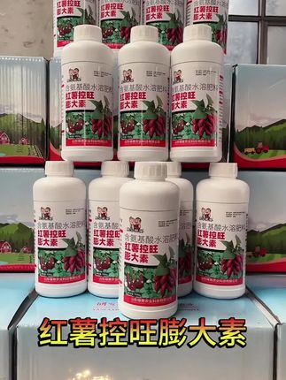 红薯控旺彭大素#红薯种植 #叶面肥#增产增收#三农