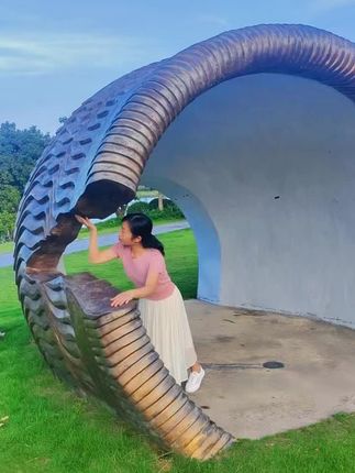 头像来自这里#户外休闲 #人与自然和谐共处 #旅行视频 #户外游玩