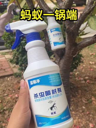 #灭蚂蚁
