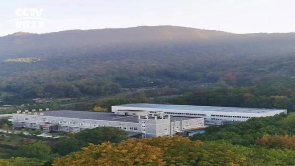 亚林,马尾松花粉生产技术行业标准制定单位