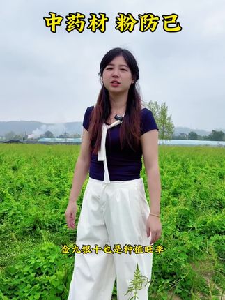 粉防己种子育苗教技术指导