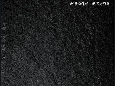 大学生学什么专业最容易进监狱踩缝纫机?#涨知识#有趣的知识又增长了#省流