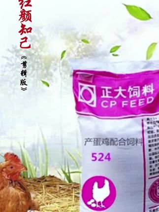正大鸡鸭鹅饲料 欢迎点小黄车店铺购买