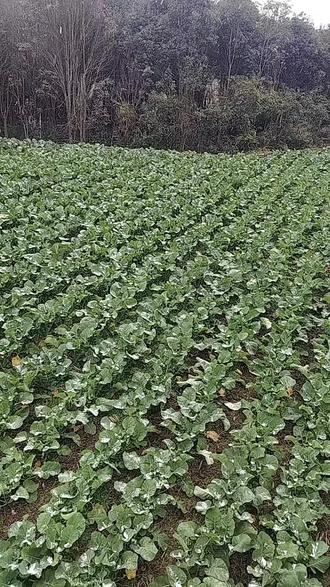 你那里下雪了吗?我们这里下雪了!