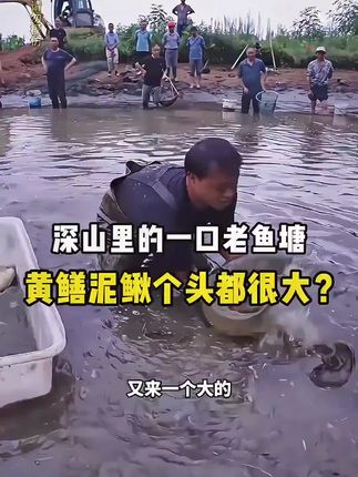 #大表哥vlog #三农 #新农人计划2025 #捕鱼 #户外