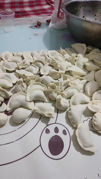 外甥女包的饺子精,奇形怪状,各种各样