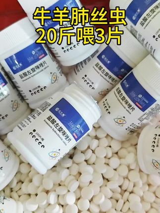 #牛羊肺丝虫#肺丝虫#牛羊驱虫#驱虫#养殖必备