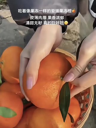 像果冻一样的橙子你吃过吗?爱媛果冻橙,爆甜多汁,果园现摘现发!#爱媛38号果冻橙 #果冻橙 #口感特别好 #爆汁 #当季水果