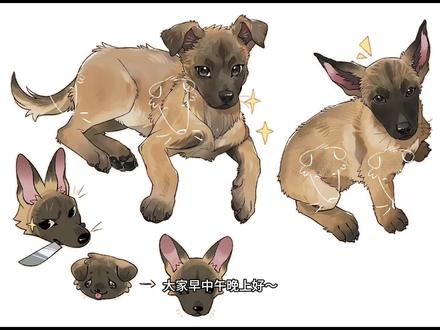 泡面小视频(?
#绘画 #猫猫 #狗狗