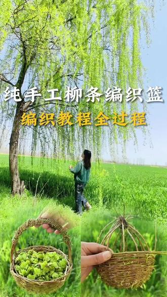 纯手工柳条编织篮,编织教程全过程#柳条编织小篮子 #编织教程 #手工 #我的乡村生活 #创作灵感 @抖音作者助手 @抖音小助手 @抖音 @抖音创作灵感 @DOU+小助手